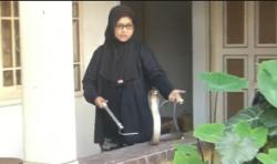 Menegangkan, Evakuasi Ular Kobra 1,6 Meter di Purwokerto, Semburkan Bisa saat Ditangkap