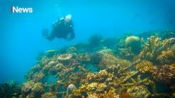 Melirik Indahnya Desa Wisata Penglipuran dan Pemuteran, Surga Tersembunyi di Bali