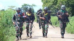 Profesi Tentara Dinilai Berisiko Tinggi Tertular Hepatitis C