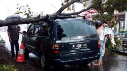 Waspadai Cuaca Ekstrem, Bupati Gowa Instruksikan Pangkas Pohon Rawan Tumbang