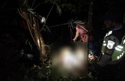 Warga Kulonprogo Ditemukan Tewas Jatuh dari Pohon saat Cari Pakan Ternak
