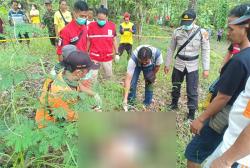 Jatuh Terpeleset, Petani Kulonprogo Ditemukan Tewas di Kebun Kosong