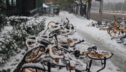 Beijing Dilanda Cuaca Ekstrem, Otoritas China Keluarkan Peringatan Dini