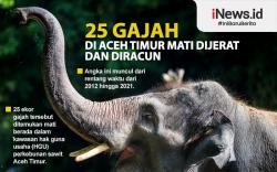 Infografis 25 Gajah di Aceh Timur Mati karena Dijerat dan Diracun