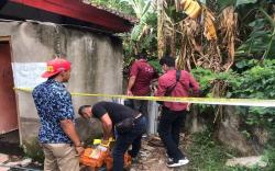 Sumbawa Gempar, Mayat Bayi dengan Ari-Ari Masih Menempel Tergeletak di Belakang Toko