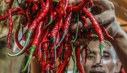 Harga Cabai Merah Keriting Hari Ini Makin Pedas, Tembus Rp60.500 per Kg