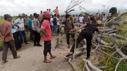 Tunggangi CBR, Perempuan di Aceh Tewas Tertimpa Pohon Kedondong