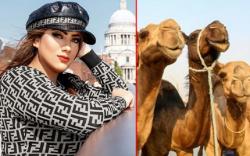  Gadis Cantik Ini Tolak Mahar 200 Ekor Unta, Bingung Mau Ditaruh di Mana<