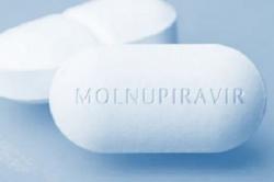  Hampir Capai Kesepakatan, Pabrik Obat Covid-19 dari AS Segera Dibangun di Indonesia 
