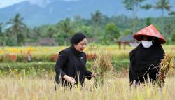 Ketua DPR Sebut Pertanian Bisa Jadi Wisata Unggulan di Indonesia<