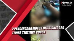 Hujan Disertai Angin, 2 Pengendara Motor di Bojonegoro Tewas Tertimpa Pohon