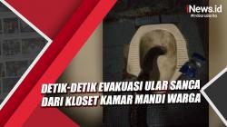Menegangkan, Detik-Detik Evakuasi Ular Sanca dari Kloset Toilet Warga di Medan