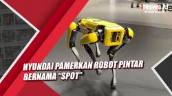 Hyundai Pamerkan Robot Pintar Bernama Spot di GIIAS 2021