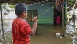 Usai Banjir Sintang, 34 Warga Terjangkit Demam Berdarah<