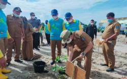 Lahan Kritis Bekas Tambang Timah di Bangka Tengah Ditanami 2.000 Bibit Pohon