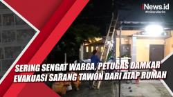 VideoPetugas Damkar Evakuasi Sarang Tawon dari Atap Rumah di Cirebon