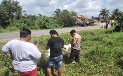 80 Kg Ganja Ditemukan Warga di Pingir Jalan Lintas Sumatra, Dibungkus Karung Pupuk