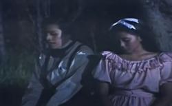 Cerita Rakyat di Padang Sumatera Barat: Siti Nurbaya, Kasih yang Tak Sampai