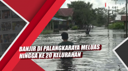 Video Banjir di Palangkaraya Meluas hingga ke 20 Kelurahan