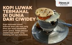 Infografis Kopi Luwak Termahal di Dunia dari Ciwidey