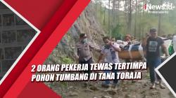 2 Orang Pekerja Tewas Tertimpa Pohon Tumbang di Tana Toraja