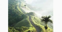 Ubud Jadi Kota Terbaik ke-4 Dunia, Yuk Intip Destinasi yang Wajib Dikunjungi