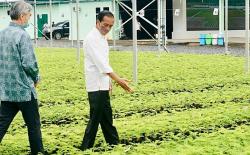 Minta Geopark di Indonesia Dilestarikan, Jokowi: Jangan Dieksploitasi Berlebihan