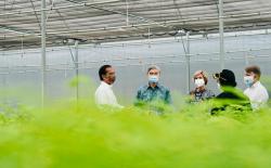 Jokowi Bakal Paksa Perusahaan Sawit dan Tambang Bikin Pusat Persemaian