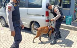 Keren, Anjing Pelacak di WSBK Mandalika Bisa Deteksi Barang Penonton yang Hilang