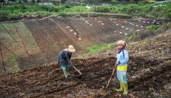 400.000 Hektare Lahan Hijau Jawa Barat Beralih Fungsi Jadi Tambang dan Pertanian