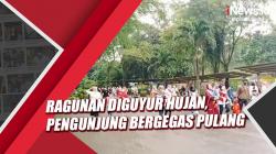 Ragunan Diguyur Hujan, Pengunjung Bergegas Pulang