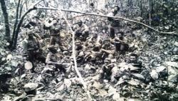 Kisah Horor Prajurit Kopassus Tersesat 18 Hari di Hutan Papua: Kaki Dipijat Sosok Misterius