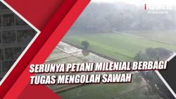Video Serunya Petani Milenial di Semarang Berbagi Tugas Mengolah Sawah