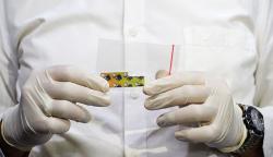 Penampakan Narkoba Jenis Prangko LSD, Ditempel di Lidah Efek Halusinasi 2 Jam