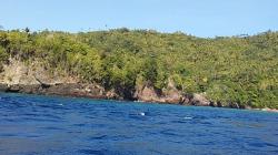 Warga Diminta Tidak Usik Kehadiran Ikan Duyung di Pantai Bukide Timur Sangihe 