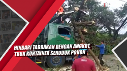 Video Hindari Tabrakan dengan Angkot, Truk Kontainer Seruduk Pohon dan Menimpa 3 Kendaraan