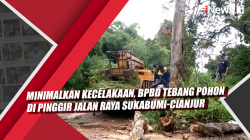 Video Minimalkan Kecelakaan, BPBD Tebang Pohon di Pinggir Jalan Raya Sukabumi-Cianjur