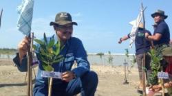 Lestarikan Lingkungan Pesisir, PT Timah Tanam 34.050 Batang Mangrove di Babel