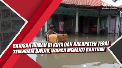 Video Ratusan Rumah di Kota dan Kabupaten Tegal Terendam Banjir, Warga Menanti Bantuan