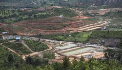 70 Persen Lahan Hutan Taman Buru Rempang Beralih Fungsi Jadi Permukiman-Perkebunan