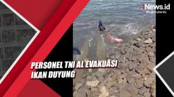 Dramatis, Personel TNI AL Evakuasi Ikan Duyung di Dermaga Lantamal VI Makassar