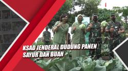 KSAD Jenderal Dudung Panen Sayur dan Buah di Kasuari Green Kodam Kasuari