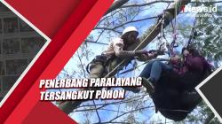 Angin Kencang, Penerbang Paralayang Tersangkut Pohon di Puncak Bogor