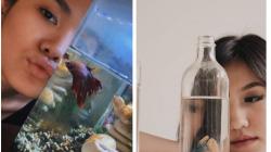 6 Artis Indonesia Hobi Pelihara Ikan Cupang, Ada yang Harganya Mencapai Rp 12 Juta per Ekor 