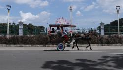 Larangan Delman di Monas Diprotes Kusir, Pj Gubernur DKI: Masih Bisa Beroperasi Sabtu Minggu