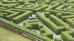 Serunya Bermain di Taman Labirin Kebun Raya Indrokilo