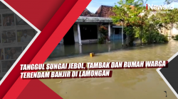 Video Tanggul Sungai Jebol, Tambak dan Rumah Warga Terendam Banjir di Lamongan