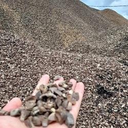 RI Bidik Perluasan Ekspor Cangkang Sawit ke Jepang