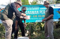 Rehabilitasi DAS Menoreh, PT Bharinto Ekatama Tanam 110.000 Tanaman Buah di Kulonprogo