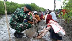 Penanaman 1.200 Bibit Mangrove di Pantai Bedul Taman Nasional Alas Purwo